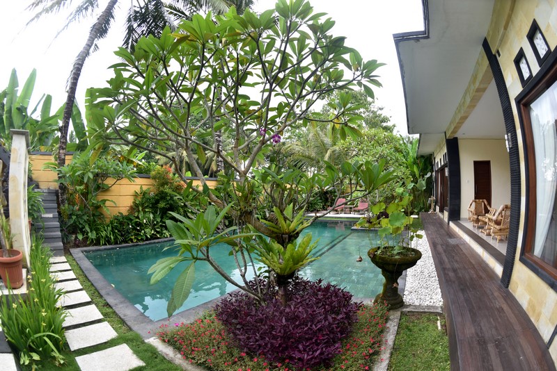 gallery1